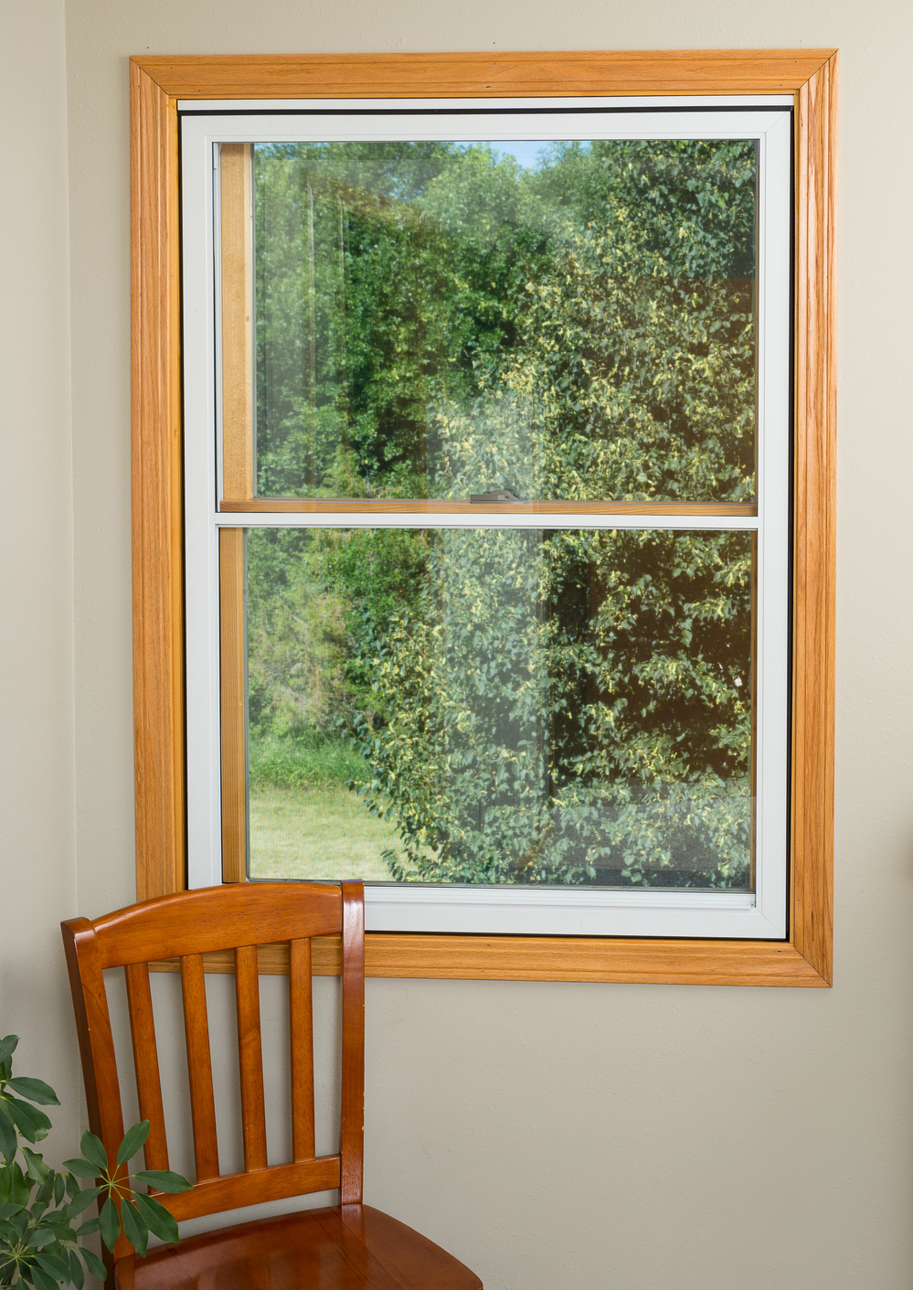 Larson Interior 5