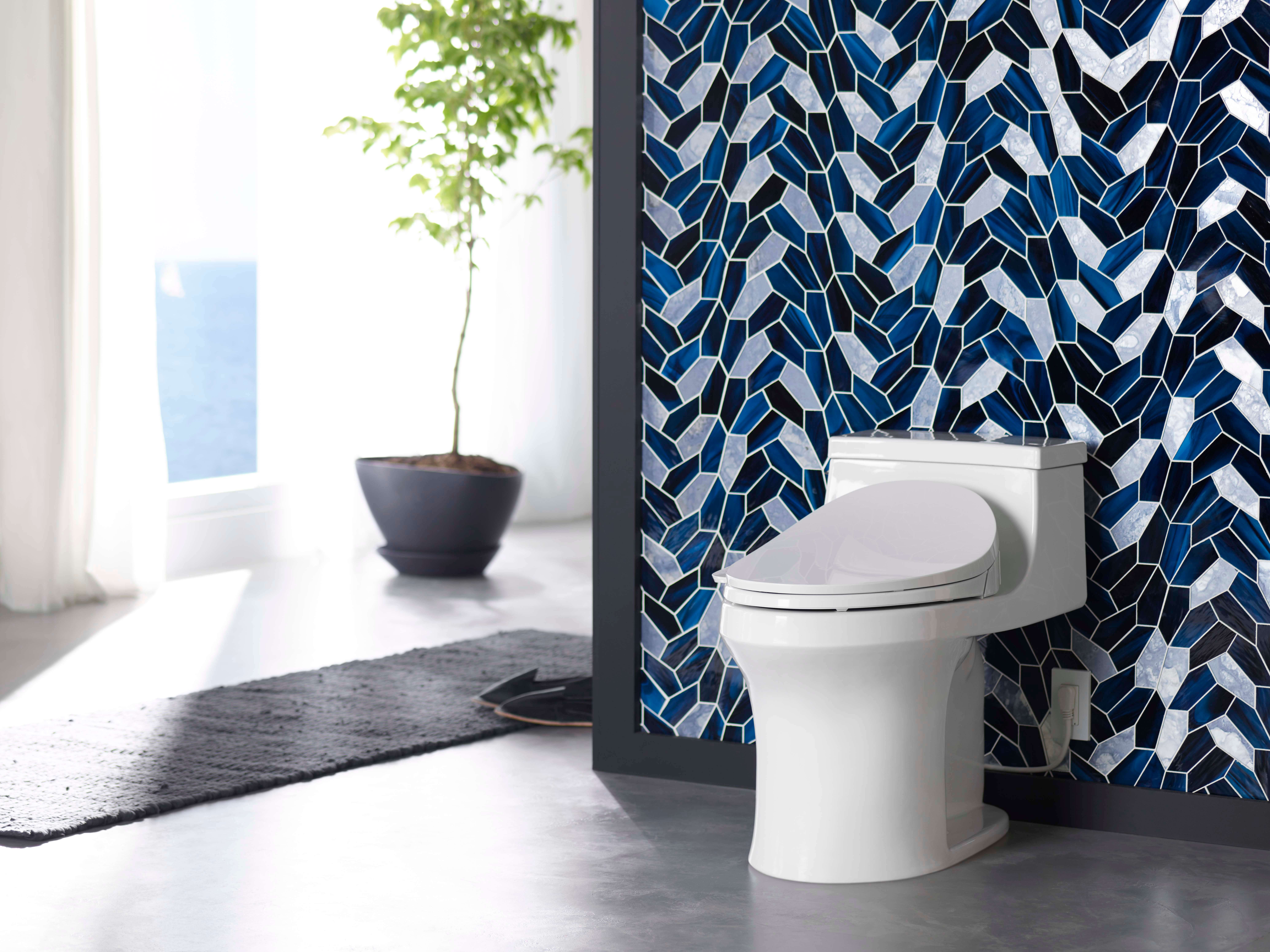 Kohler San Souci Toilet